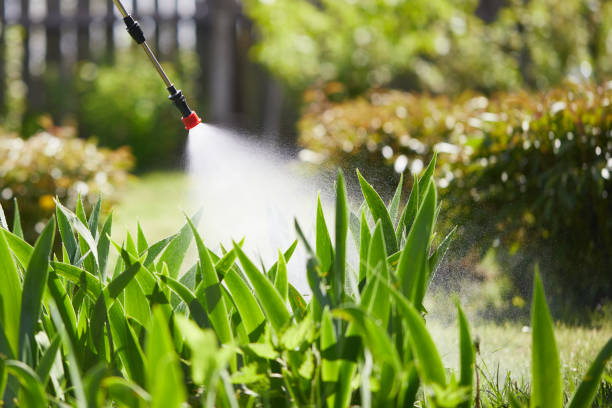 Void Injection for Cockroach Colonies in Lake Los Angeles